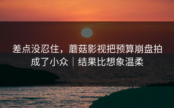 差点没忍住，蘑菇影视把预算崩盘拍成了小众｜结果比想象温柔